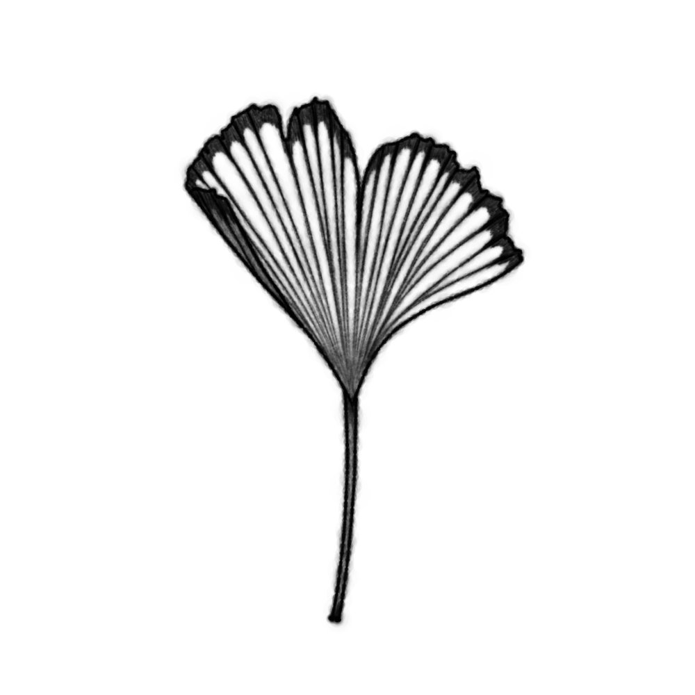 Ginkgoblatt Wannado Handpoke Tattoo